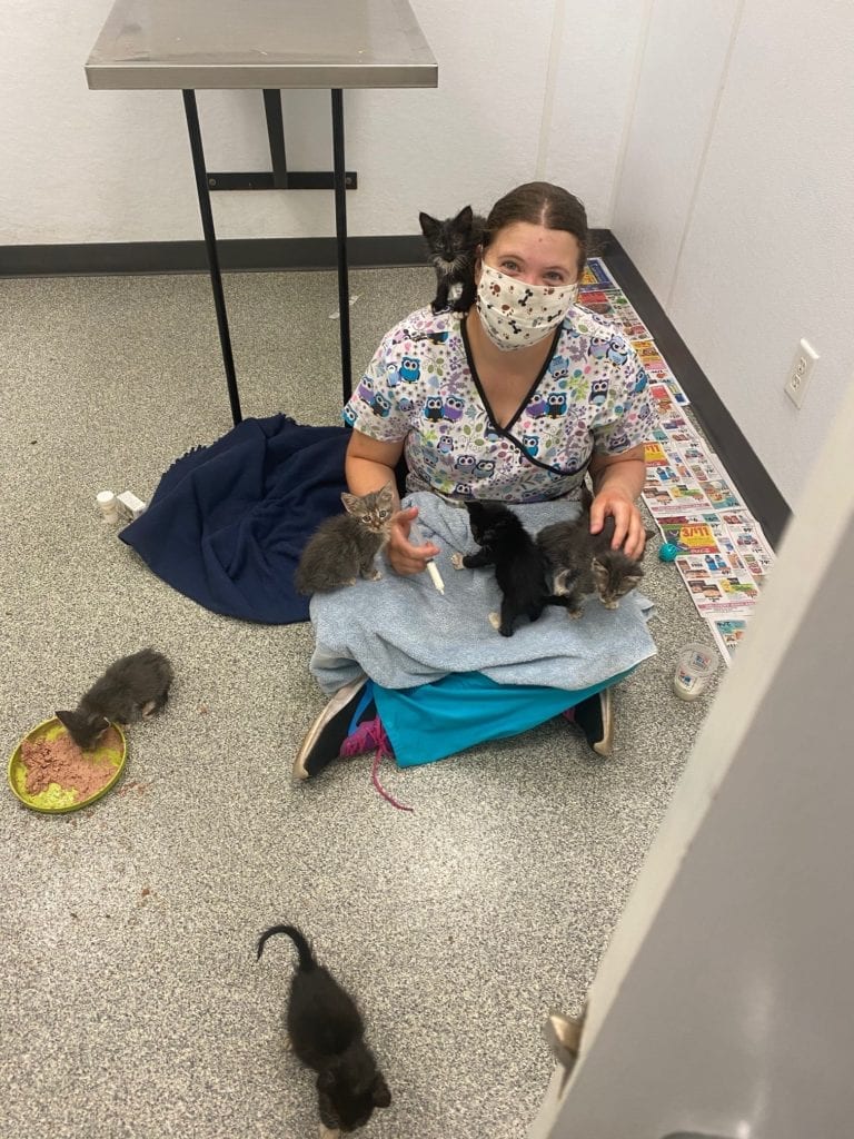 Gallery Ottawa Veterinary Hospital