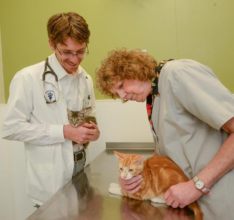 Gallery Ottawa Veterinary Hospital