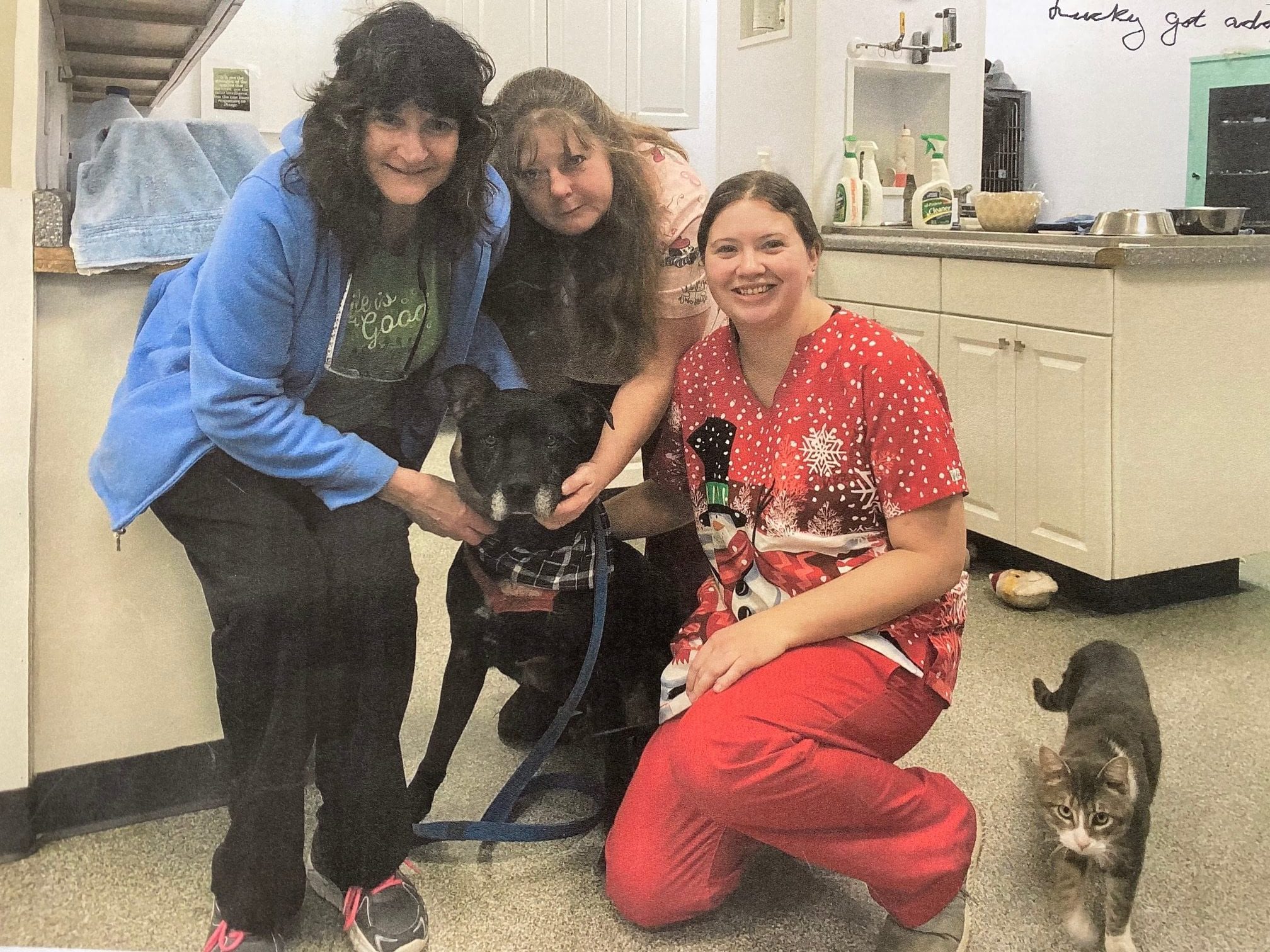 Gallery Ottawa Veterinary Hospital